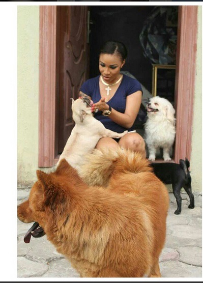 TIWA TONTO DOG3