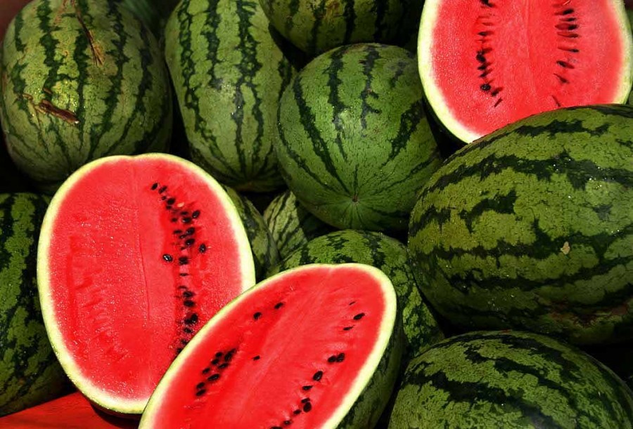Watermelons_0F88A4E7D8BB4-900x611