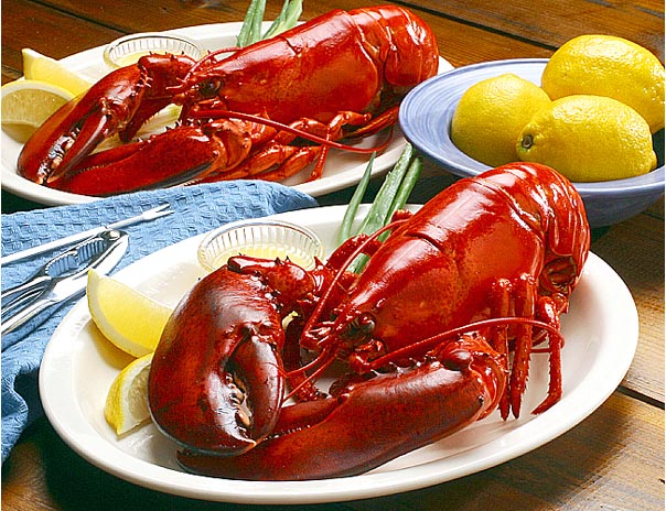 Why-lobsters-and-crabs-turn-red-when-cooked
