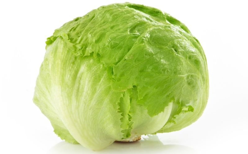 lettuce
